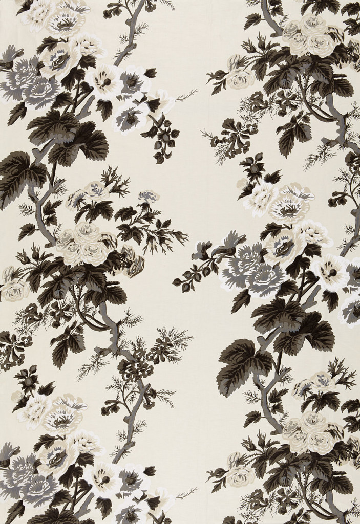 Hollyhock Charcoal